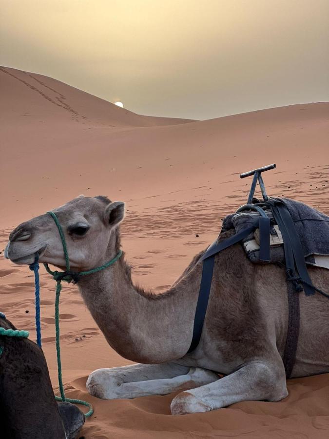 Riad Aicha & Camel Trekking Мерцуга Екстериор снимка