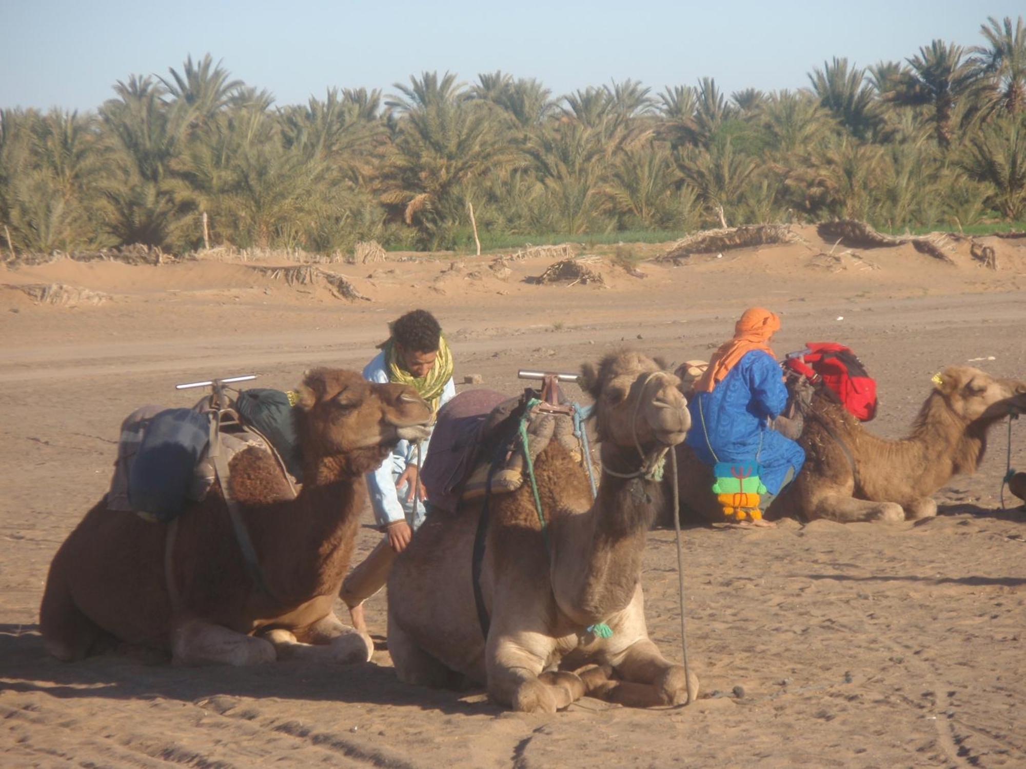 Riad Aicha & Camel Trekking Мерцуга Екстериор снимка